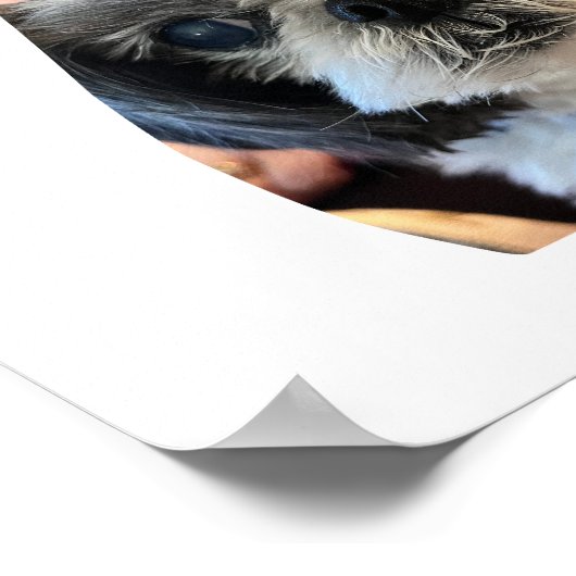 Affiche de collage de photos en forme de chien (Coin)