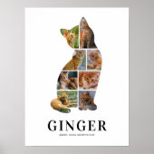 Affiche de collage photo de silhouette de chat per (Devant)