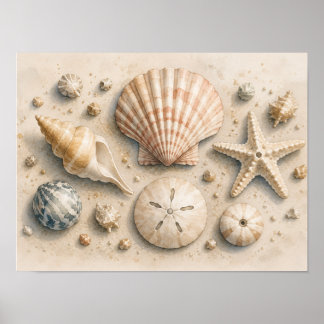 Affiche de collection de coquillages | Aquarelle c