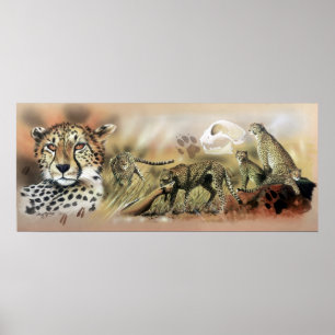 Affiche de collection de guépard