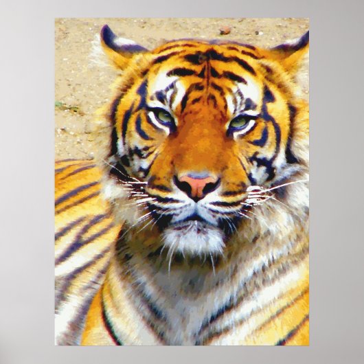 Affiche de confiance (Devant)