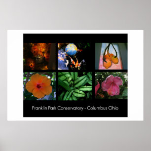 Affiche de conservatoire de parc de Franklin