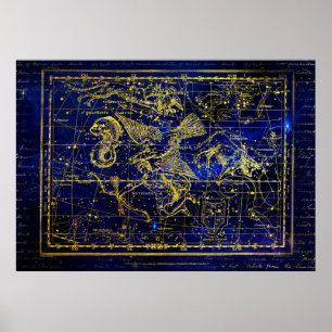 affiche de constellation delphinus