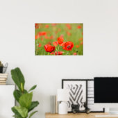 Affiche de coquelicots dans un champ de coquelicot (Bureau à domicile)
