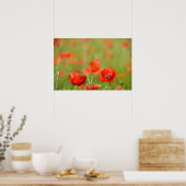 Affiche de coquelicots dans un champ de coquelicot (Cuisine)