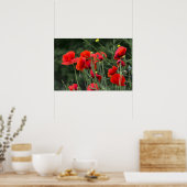 Affiche de coquelicots - Photographie de fleurs da (Cuisine)