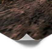 Affiche de coucher de soleil de cheval sauvage maj (Coin)