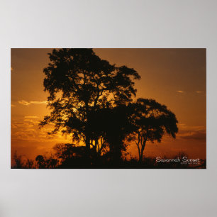 Affiche de coucher du soleil de la savane