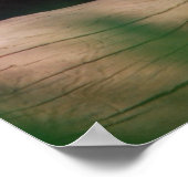 Affiche de cougar (Coin)