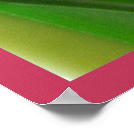 Affiche de couleurs de tulipes (Coin)