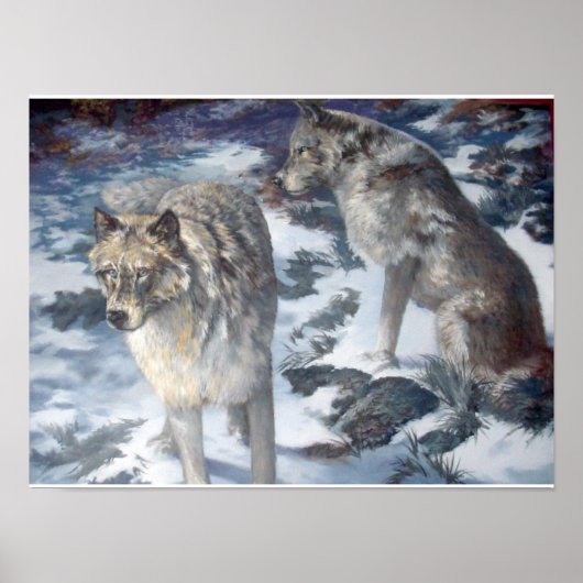 Affiche de couple de loups d'Alaska en hiver (Devant)