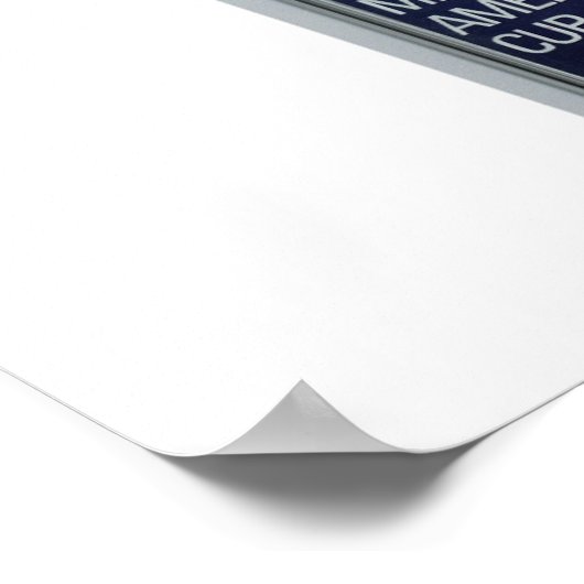 Affiche de couverture Playgirl (Coin)