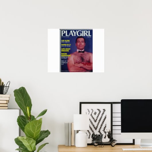 Affiche de couverture Playgirl (Bureau à domicile)