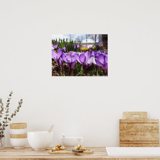 Affiche de crocus (Cuisine)