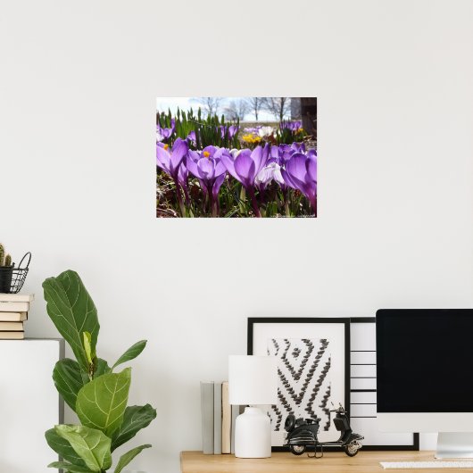 Affiche de crocus (Bureau à domicile)