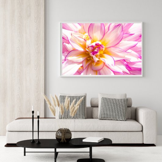 Affiche de Dahlia rose et blanc