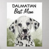Affiche de Dalmatian (Devant)