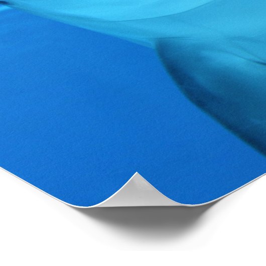 Affiche de dauphin (Coin)