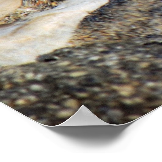 affiche de débit (Coin)