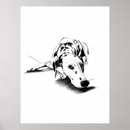 Affiche de décoration murale dalmate – Dessinée à  (Devant)