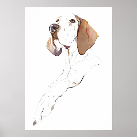 Affiche de décoration murale Pointer anglais, Impr (Devant)