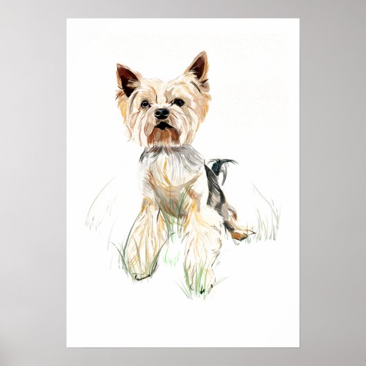Affiche de décoration murale Yorkshire Terrier – A (Devant)