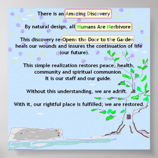 Affiche de découverte Extraordinaire (Devant)