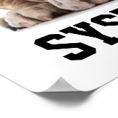 Affiche de défaillance du système (Coin)