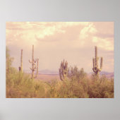 Affiche de Desert Dream (Devant)