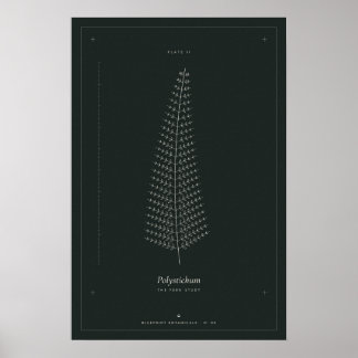 Affiche de dessin botanique de fougère, Dark Acade