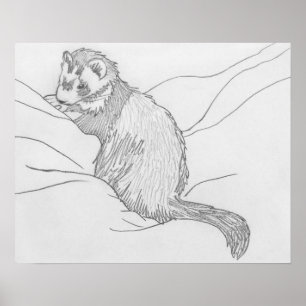 Affiche de dessin de furet de "rouspéteur"