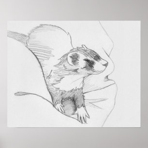 Affiche de dessin de furet de "Siduri"