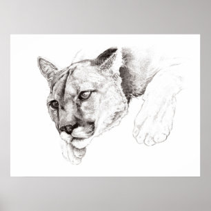Affiche de dessin de puma