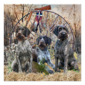 Affiche de Deutsch Drahthaar (Devant)