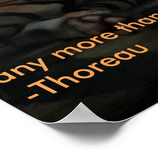 Affiche de devis de tigre (Coin)