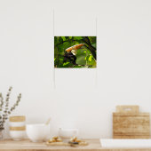 Affiche de dinosaure - Thalassodromeus Toucan (Cuisine)