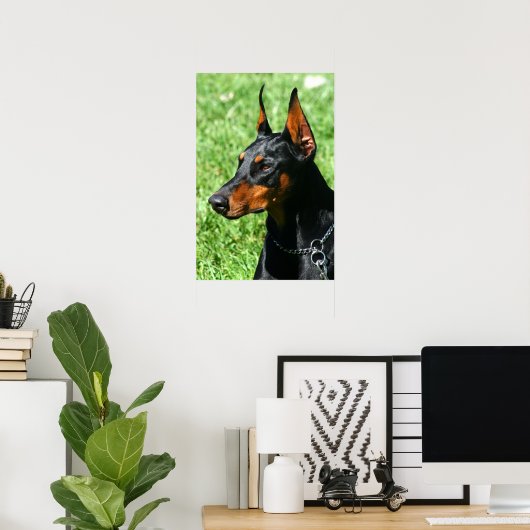 Affiche de Doberman (Bureau à domicile)