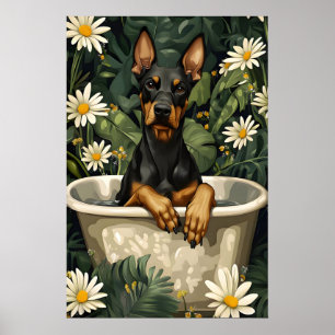 Affiche de Doberman Pinscher dans une baignoire, C