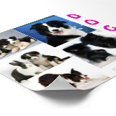 Affiche de DOGS (Coin)