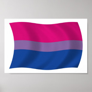 Affiche de drapeau de fierté bisexuelle