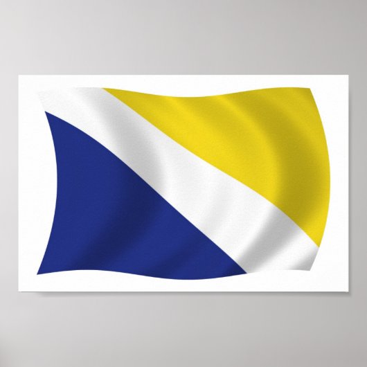 Affiche de drapeau de Géorgie (Devant)