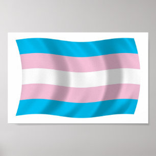 Affiche de drapeau de la Fierté transgenre Imprime