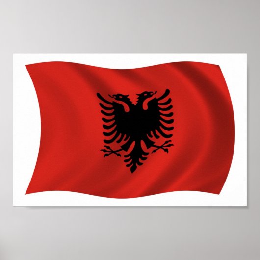 Affiche de drapeau de l'Albanie (Devant)