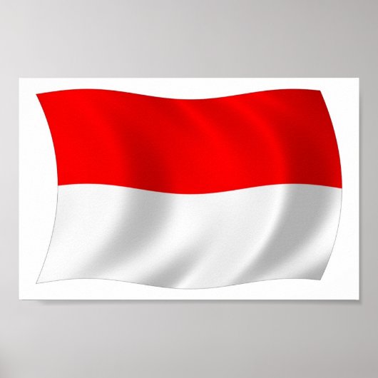 Affiche de drapeau de Monaco (Devant)