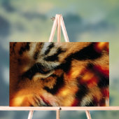 Affiche de faune à proximité de l'Œil de Tigre Dor (Neutre)