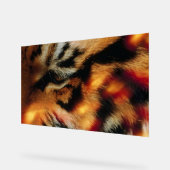 Affiche de faune à proximité de l'Œil de Tigre Dor (Angle)