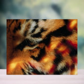 Affiche de faune à proximité de l'œil de tigre dor (Neutre)