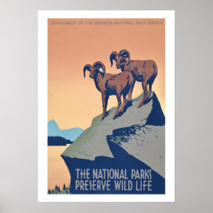 Affiche de faune des parcs nationaux