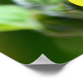 Affiche de fermeture du tournesol (Coin)