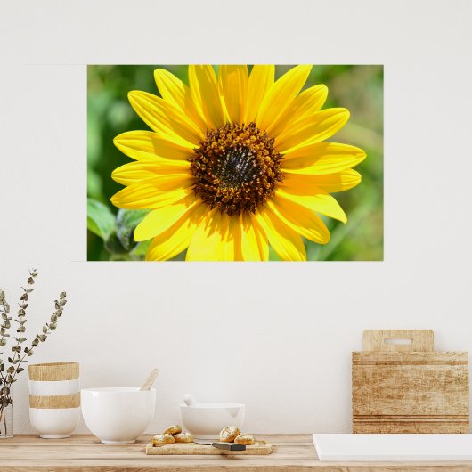 Affiche de fermeture du tournesol (Cuisine)